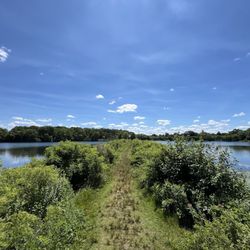 Farm Pond Park