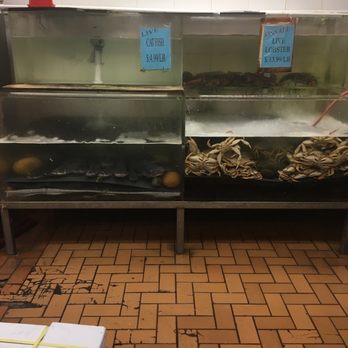 King's Seafood Center - Live cat fish & lobster - Seafood Markets Near Me - Sunnyvale, California King's Seafood Center - Live cat fish & lobster - Seafood Markets Near Me - Sunnyvale, California