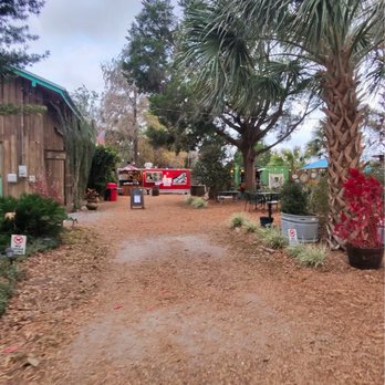 Archie's Woodfire Pizza - Pizza Near Me - Williston, Florida