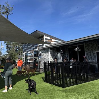Barkhaven - Dog Parks Near Me - Orlando, Florida