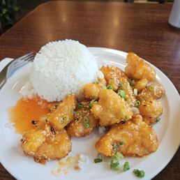 Orange chicken Orange chicken