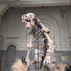 Museo Argentino de Ciencias Naturales Bernardino Rivadavia