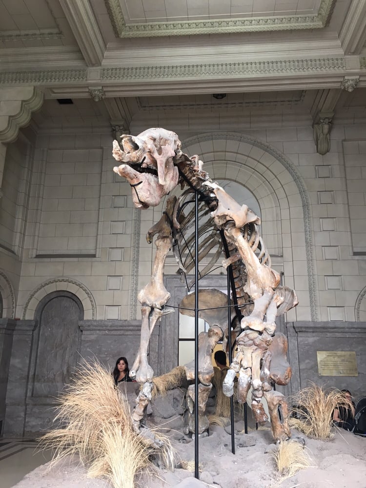 Museo Argentino de Ciencias Naturales Bernardino Rivadavia