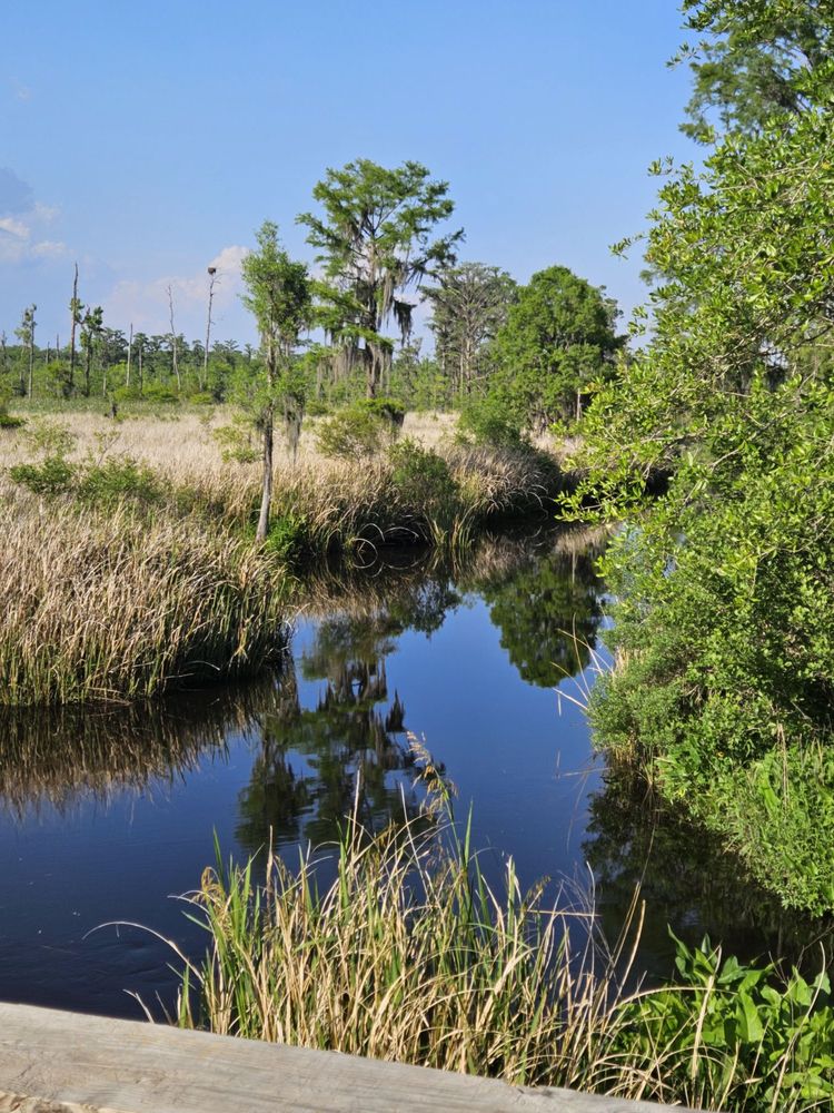 J F Gregory City Park Logo