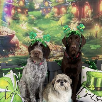 Barks & Bubbles - Pet Groomers Near Me - Lakeville, Minnesota Barks & Bubbles - Pet Groomers Near Me - Lakeville, Minnesota