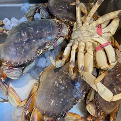 USA Daily Live Seafood Market - Dungeness crab