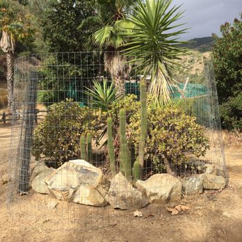 Hermit Gulch Campground - Sectioned off plants at Site 29 - Campgrounds Near Me - Avalon, California