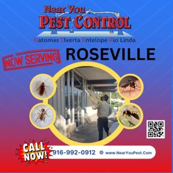 Near You Pest Control