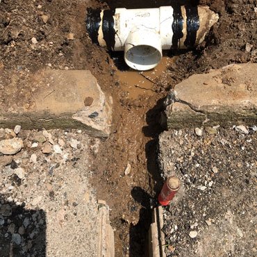 Slide of Snake Master