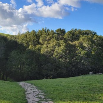 Tassajara Creek Regional Park - Hiking Near Me - Dublin, California