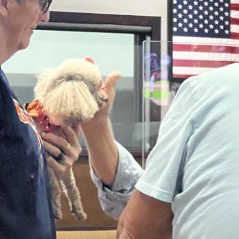 Glory Days Grill - Customer inside Glory Days restaurant showing off her pet toy poodle. - Sports Bars Near Me - St. Petersburg, Florida