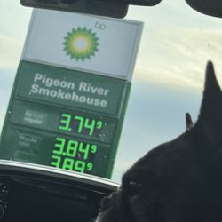 BP