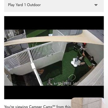 Camp Bow Wow - Pet Boarding Near Me - Virginia Beach, Virginia Camp Bow Wow - Pet Boarding Near Me - Virginia Beach, Virginia