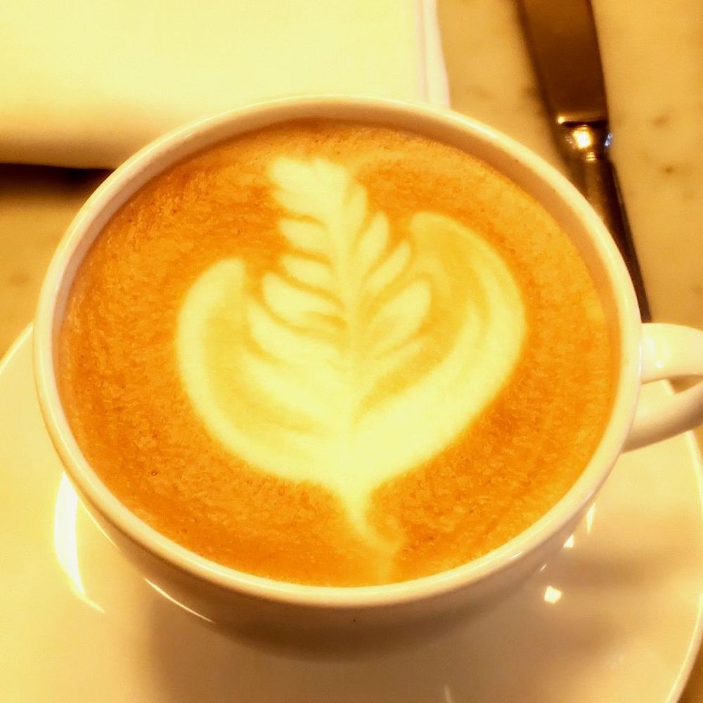 The Pembroke - Cappuccino. - New American Near Me - Washington, DC, District of Columbia The Pembroke - Cappuccino. - New American Near Me - Washington, DC, District of Columbia