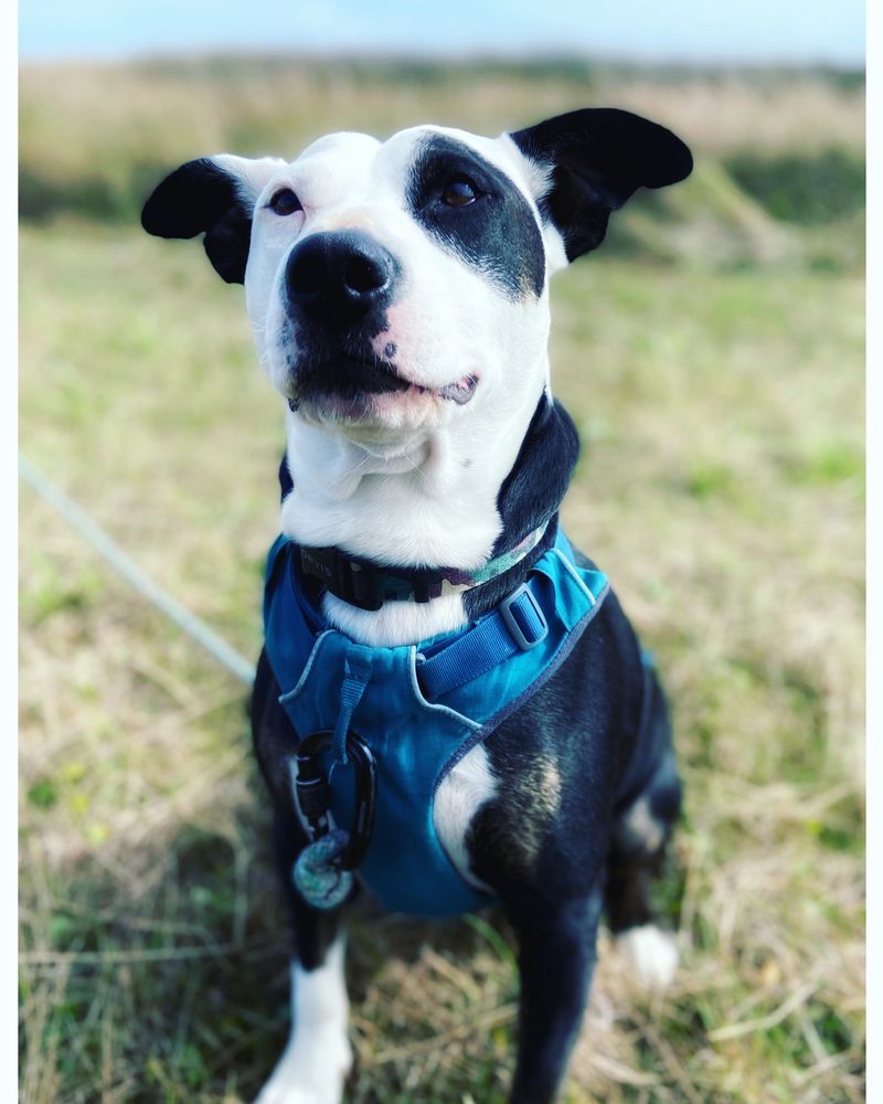 Cypress Counseling - grief counselor in Richmond, VA