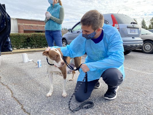 SPCA of Wake County by null