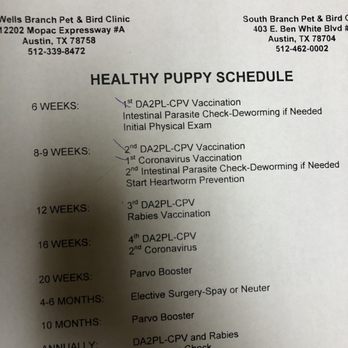 Pet & Bird Clinic - Veterinarians Near Me - Austin, Texas Pet & Bird Clinic - Veterinarians Near Me - Austin, Texas