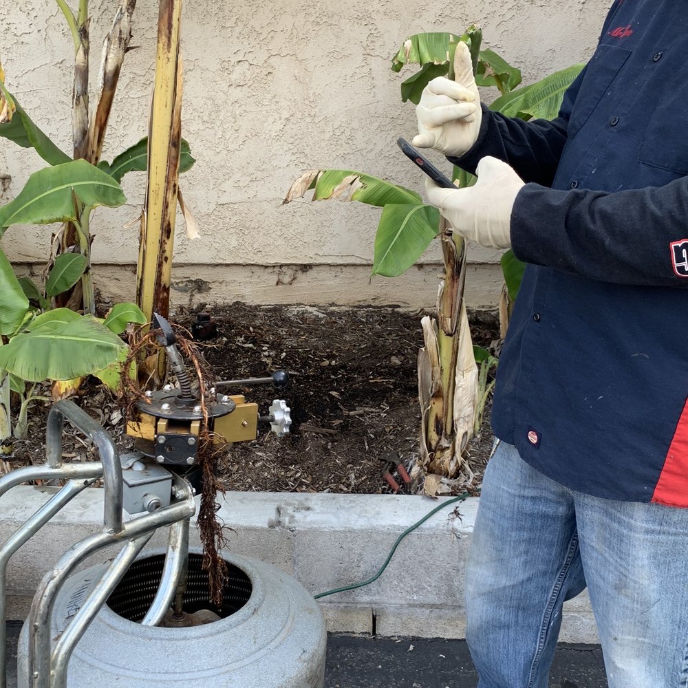Hiniker Plumbing - The roots that were pulled out of the exterior plumbing. - Plumbing Near Me - Riverside, California Hiniker Plumbing - The roots that were pulled out of the exterior plumbing. - Plumbing Near Me - Riverside, California