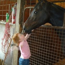 McClaskey Feed - Where horses are loved.