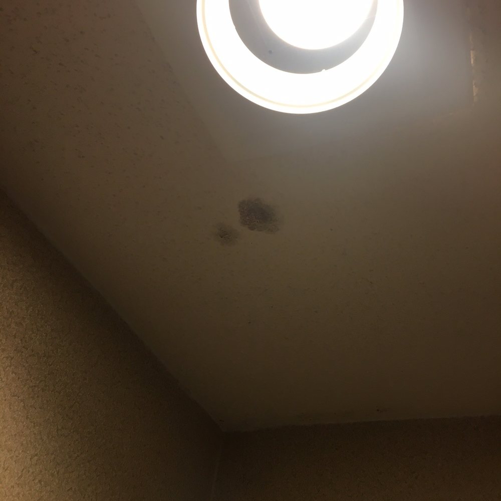 Best Western Tower West Lodge - Mold in bathroom and no toilet seat cover. - Hotels Near Me - Gillette, Wyoming Best Western Tower West Lodge - Mold in bathroom and no toilet seat cover. - Hotels Near Me - Gillette, Wyoming