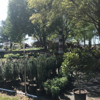 Friendly Nursery - Nurseries & Gardening Near Me - Greenville, North Carolina
