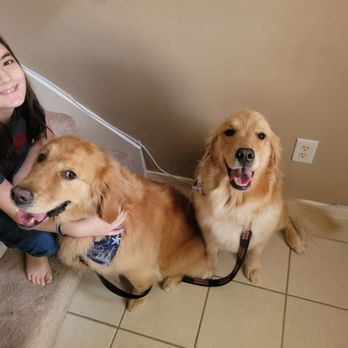 Pampered Little Paws - Spa day - Pet Groomers Near Me - Cypress, Texas Pampered Little Paws - Spa day - Pet Groomers Near Me - Cypress, Texas