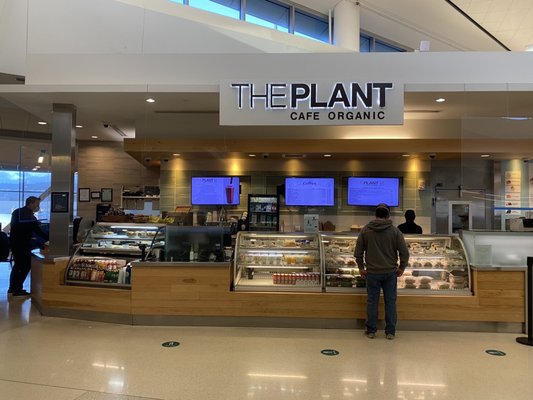The Plant Café Organic by null