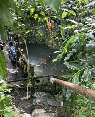 Tam-awan Village by null