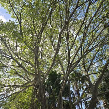 Anne Kolb Nature Center - Parks Near Me - Hollywood, Florida