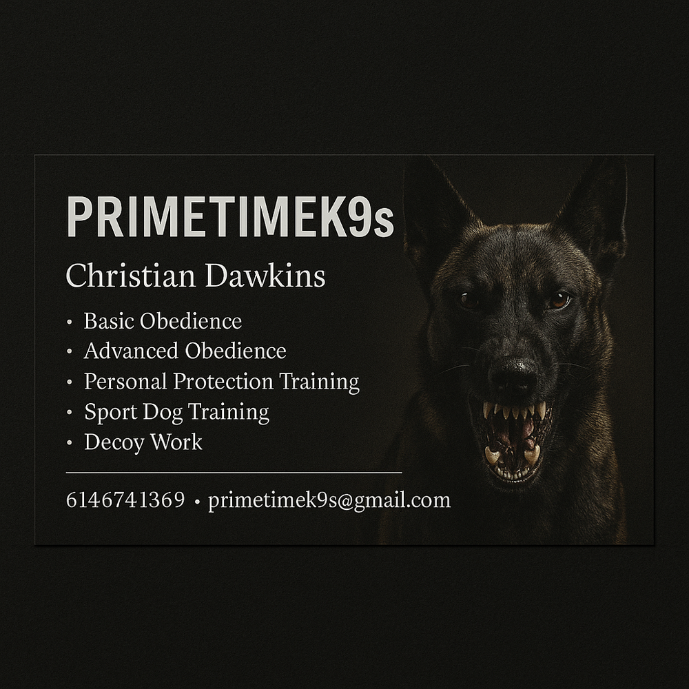 Prime Time K9s - pet boarding facility in Columbus, OH