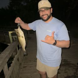 Bass fishing