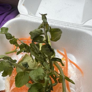 Pho Minh Ky - Old greens - Vietnamese Near Me - Lynn, Massachusetts