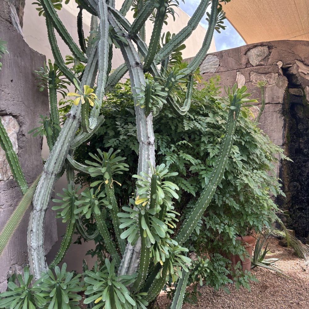 Grotto Cafe - Cafes Near Me - Cave Creek, Arizona
