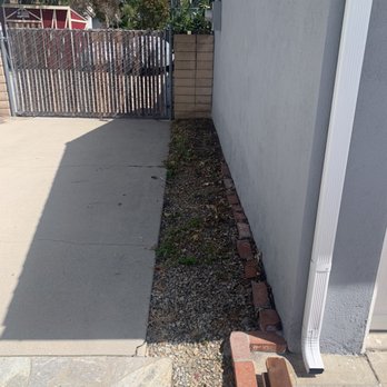 California Arborist - Before - Tree Services Near Me - Whittier, California