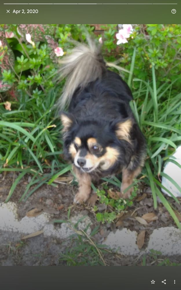 Oak Hammock Animal Hospital Image