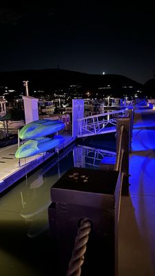 Amalfi Marina Bar (Dockside) by null