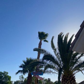 Royal Tree Service - Tree Services Near Me Royal Tree Service - Tree Services Near Me