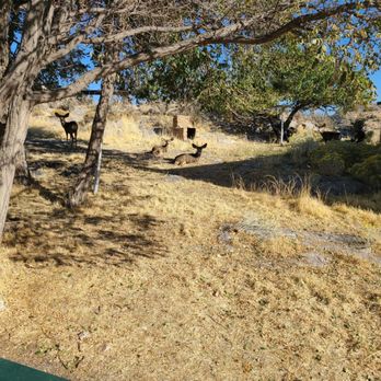 Hutchings Motel - Guests are quiet - Hotels Near Me - Pioche, Nevada Hutchings Motel - Guests are quiet - Hotels Near Me - Pioche, Nevada