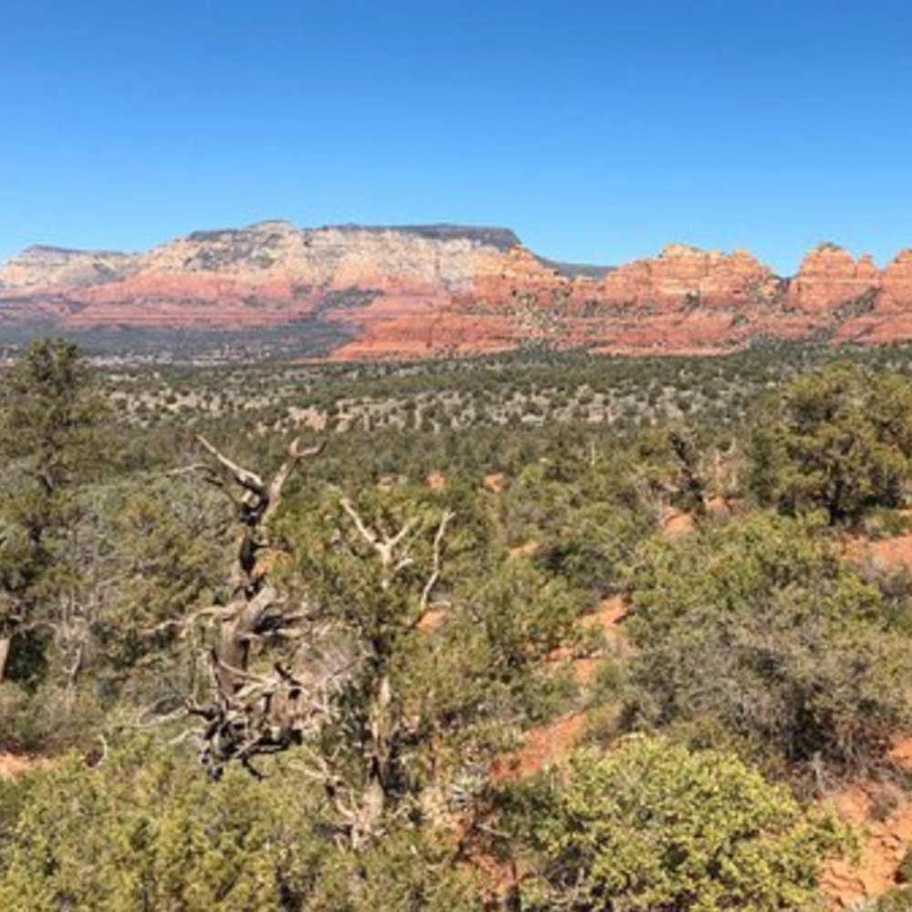 Broken Arrow Trail - Hiking Near Me