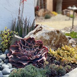 Garden Rhythms - A beautiful succulent tapestry garden brightens up one of those small planters next to a garage door.