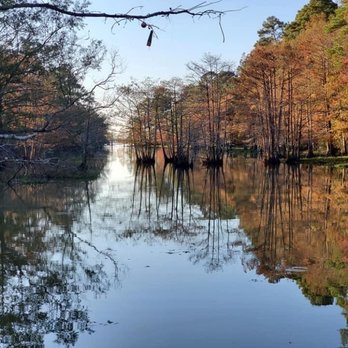 Martin Dies Jr State Park - Fishing Near Me - Jasper, Texas