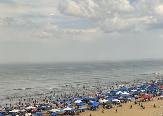 Hemingway's Restaurant & Bar Pilar by null