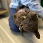 Photo of Riverstone Animal Hospital