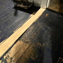 Portsmouth Quality Flooring