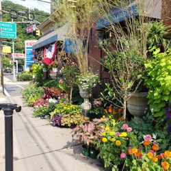 Bye-Way Gardens