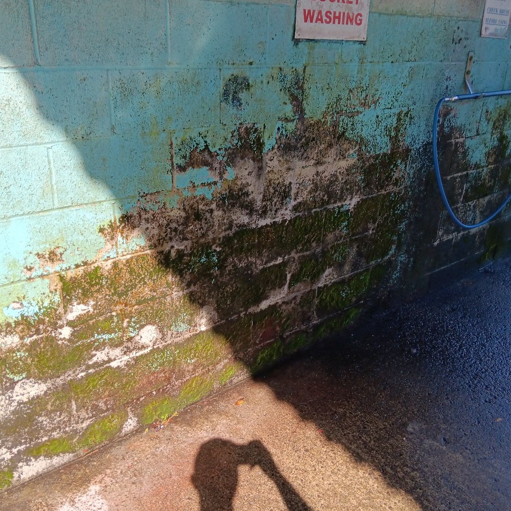 Tenth & Harrison Car Wash - Moldy walls, very unwell kept car wash bay - Car Wash Near Me - San Francisco, California Tenth & Harrison Car Wash - Moldy walls, very unwell kept car wash bay - Car Wash Near Me - San Francisco, California