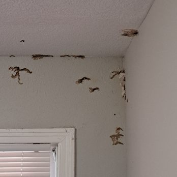 Hoyle Pest Professionals - Pest Control Near Me Hoyle Pest Professionals - Pest Control Near Me