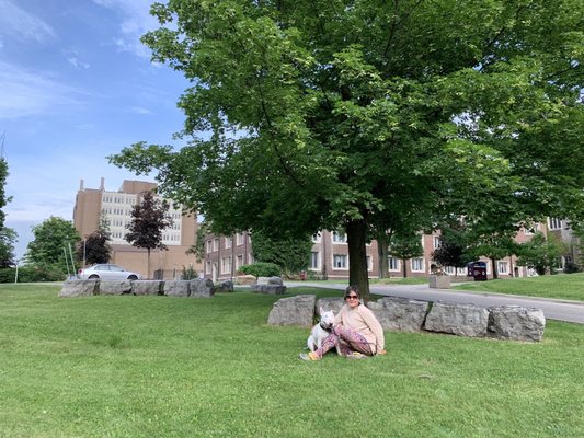 McMaster University by null