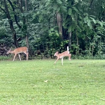 Warriors' Path State Park - Parks Near Me - Kingsport, Tennessee
