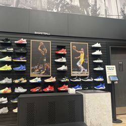 Big 5 Sporting Goods